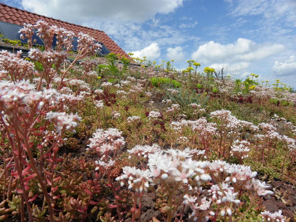 Loos-en-GohelleFleur De Ciel别墅 外观 照片